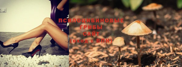дурь Абаза