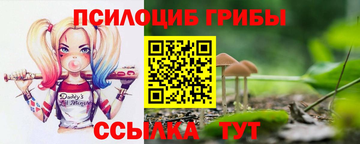Донской  Псилоцибиновые грибы Psilocybine cubensis  Псилоцибиновые грибы Magic Shrooms  Вход с VPN 